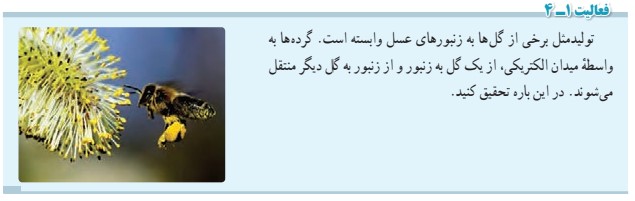 جواب فعالیت صفحه 19 فیزیک یازدهم