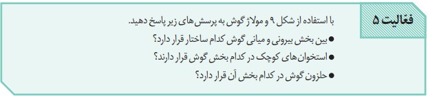 جواب فعالیت ۵ صفحه ۲۹ فصل دوم زیست یازدهم