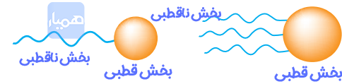 جواب با هم بیندیشیم صفحه ۵ شیمی دوازدهم
