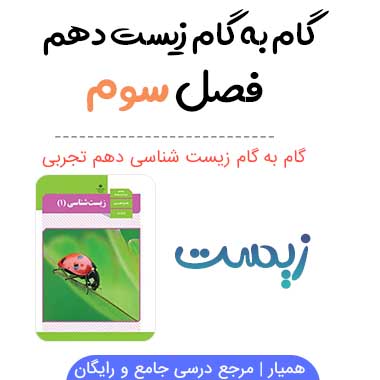 جواب فعالیت های فصل سوم زیست شناسی دهم
