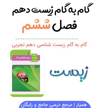 جواب فعالیت های فصل ششم زیست شناسی دهم