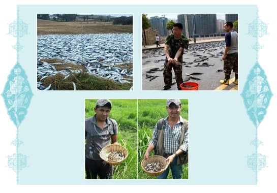 ترجمه صفحه ۳۲ درس سوم عربی دهم