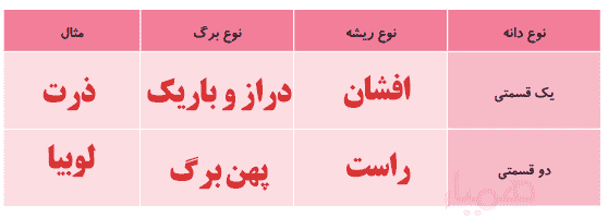 جواب جدول فعالیت صفحه 100 علوم سوم