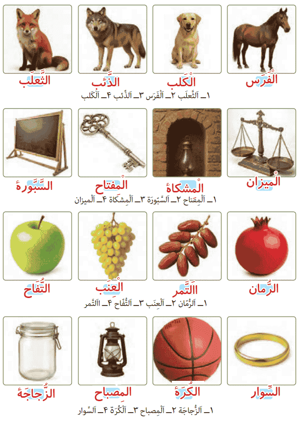 صفحه ۶۲ عربی یازدهم