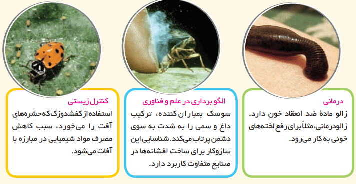 جواب فعالیت ۳ پیشنهاد دهید صفحه ۹۰ انسان و محیط زیست
