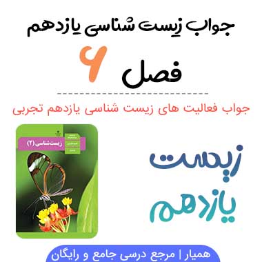 جواب فعالیت های فصل ۶ زیست شناسی یازدهم