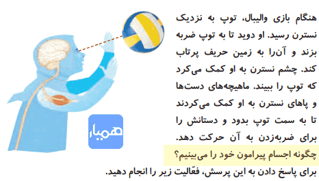 جواب سوال صفحه ۴۶ علوم پنجم ابتدایی