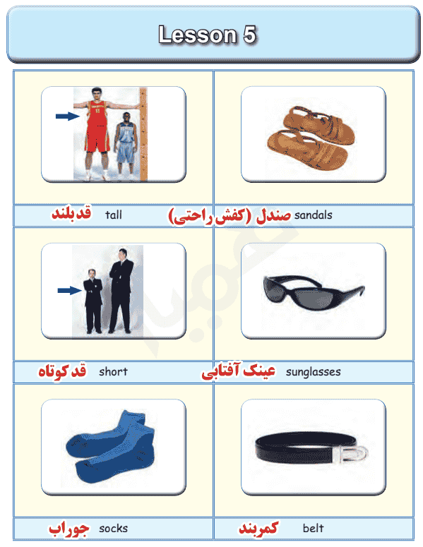 کلمات درس ۵ زبان هفتم