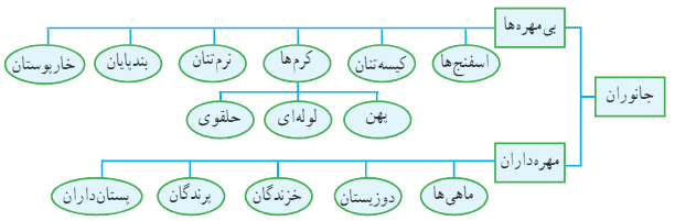 -جانوران به چه گروه های کوچکتری تقسیم