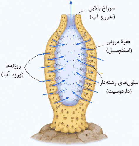 صفحه ۱۴۳ فصل ۱۳ علوم نهم