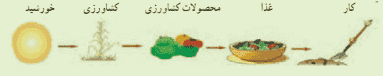جواب فکر کنید صفحه ۷۶ علوم هفتم