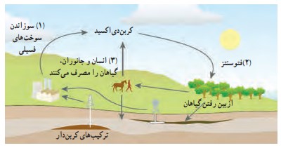 جواب فکر کنید صفحه ۲۷ علوم نهم