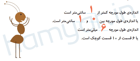 جواب فعالیت صفحه ۱۱۰ ریاضی دوم دبستان