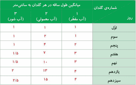 جواب کاوشگری صفحه ۹۱ و ۹۲ و ۹۳ علوم پنجم ابتدایی