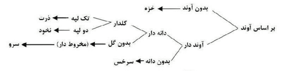 فعالیت صفحه ۱۳۹ فصل ۱۲ علوم نهم (مهم)