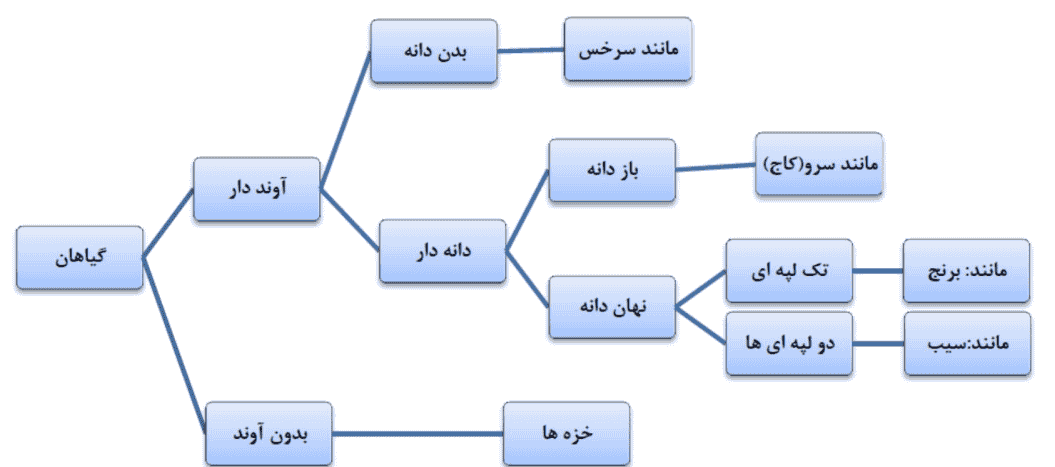 نقشه مفهومی