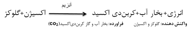-معادله شیمیایی سوختن گلوکز