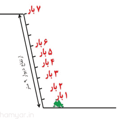 چند جهش به بالای دیوار میرسد