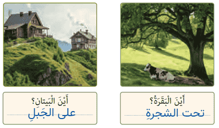 صفحه 82 عربی هفتم