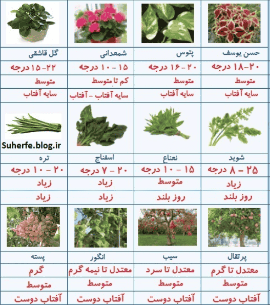 کار غیر کلاسی صفحه ۱۲۱ و ۱۲۲ کار و فناوری هفتم