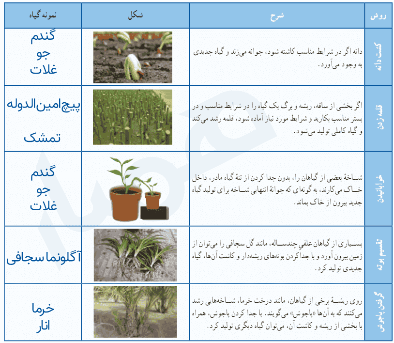 جواب بررسی صفحه ۱۲۹ کار و فناوری هفتم