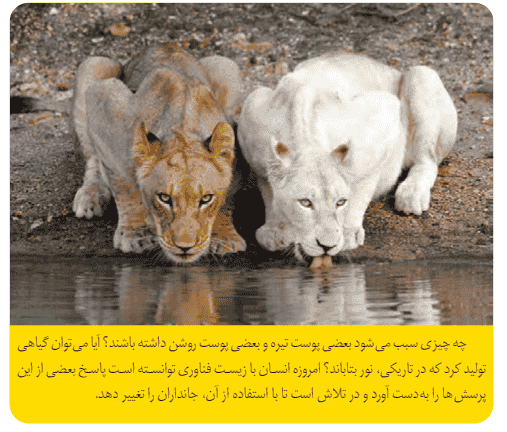 جواب سوالات صفحه 55 علوم هشتم