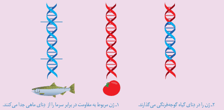 فکر کنید صفحه ۶۲ علوم هشتم