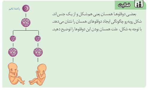 فعالیت صفحه ۷۳ علوم هشتم