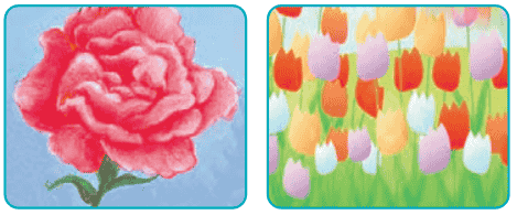 صفحه ۶۱ نگارش ششم