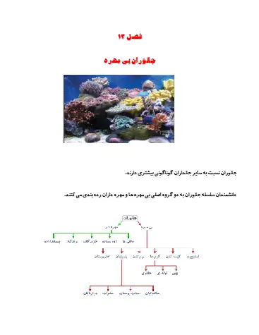 درسنامه درس ۱۲ علوم تجربی نهم 