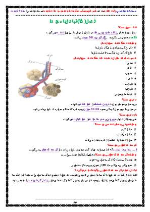 درسنامه علوم هفتم