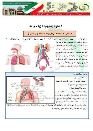 درسنامه علوم هفتم 